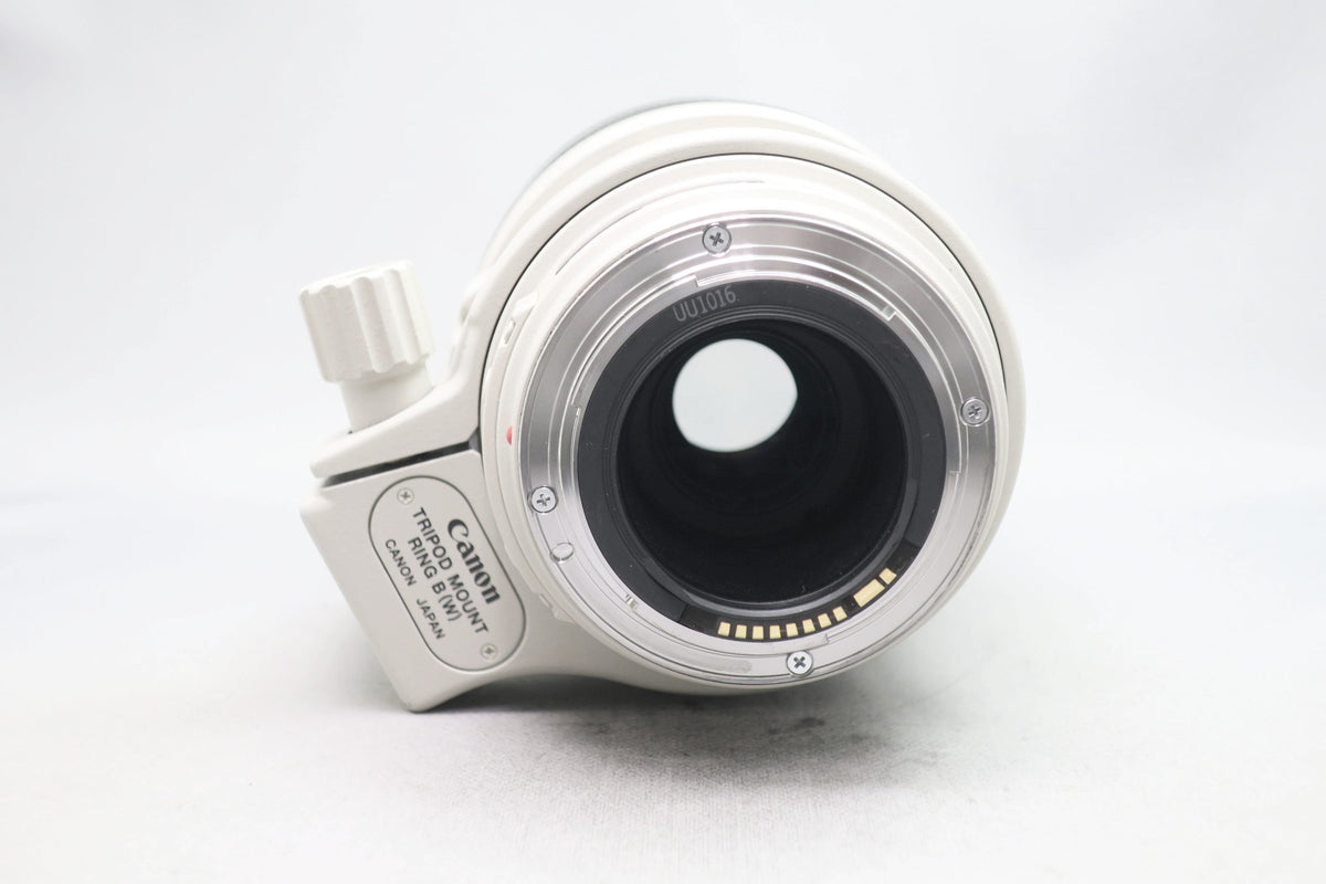 キヤノン EF100-400/4.5-5.6L IS USM