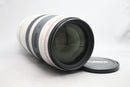 キヤノン EF100-400/4.5-5.6L IS USM