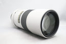 AF-S ニッコール 300/4D ライトグレー