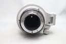 AF-S ニッコール 300/4D ライトグレー