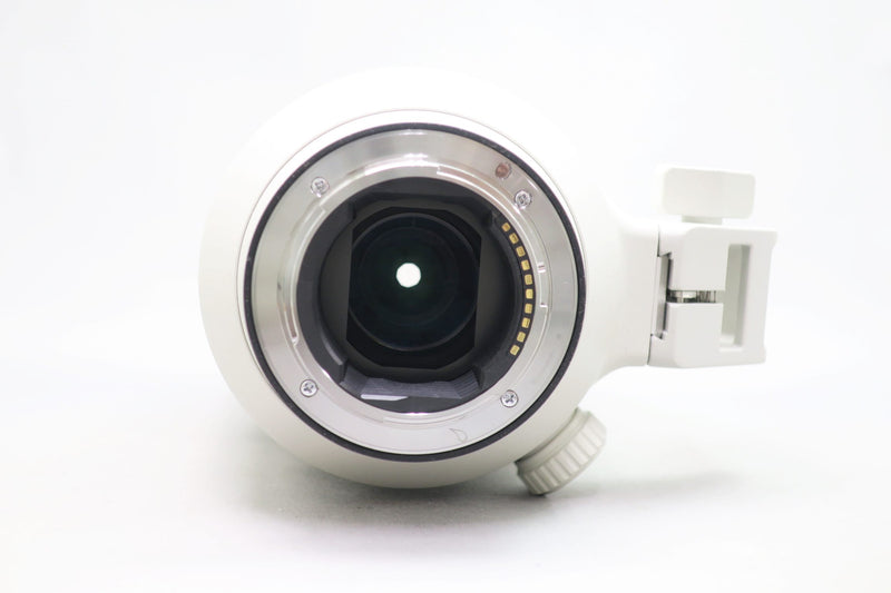 ソニー FE 100-400/4.5-5.6 GM OSS