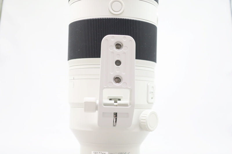 ソニー FE 100-400/4.5-5.6 GM OSS